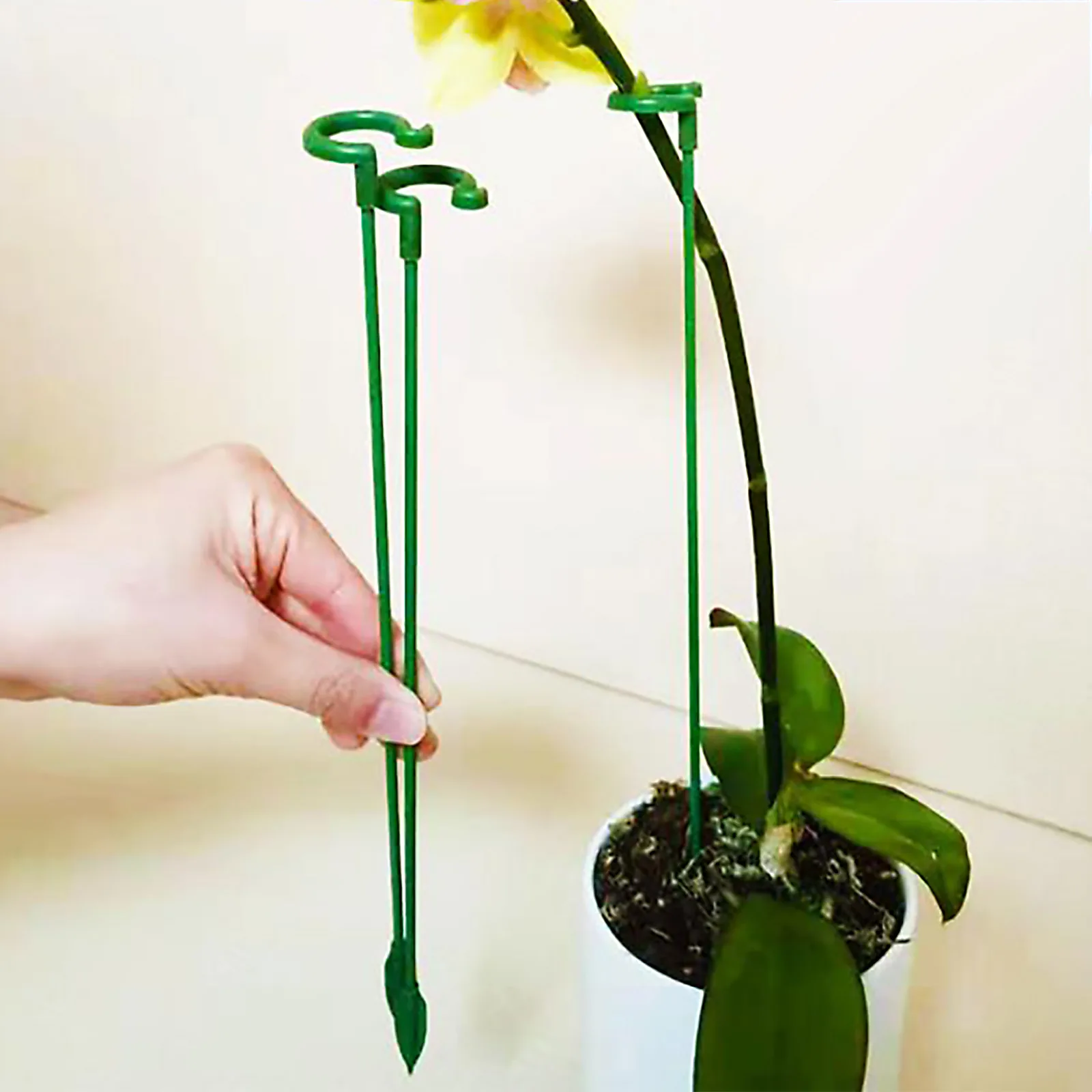 Virág Állvány Növény Támogatás Hegymászás Kert DIY Kellékek Konzol Tartós, Kiváló Minőségű 10db Virágok Jogosultja